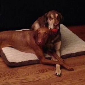 Meet your Posher, Gina